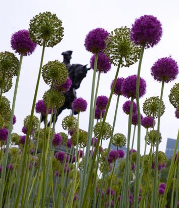 29. George Washington - 3